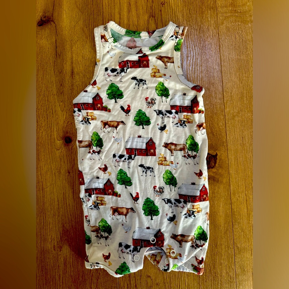 Posh Peanut Romper 3-6 Months